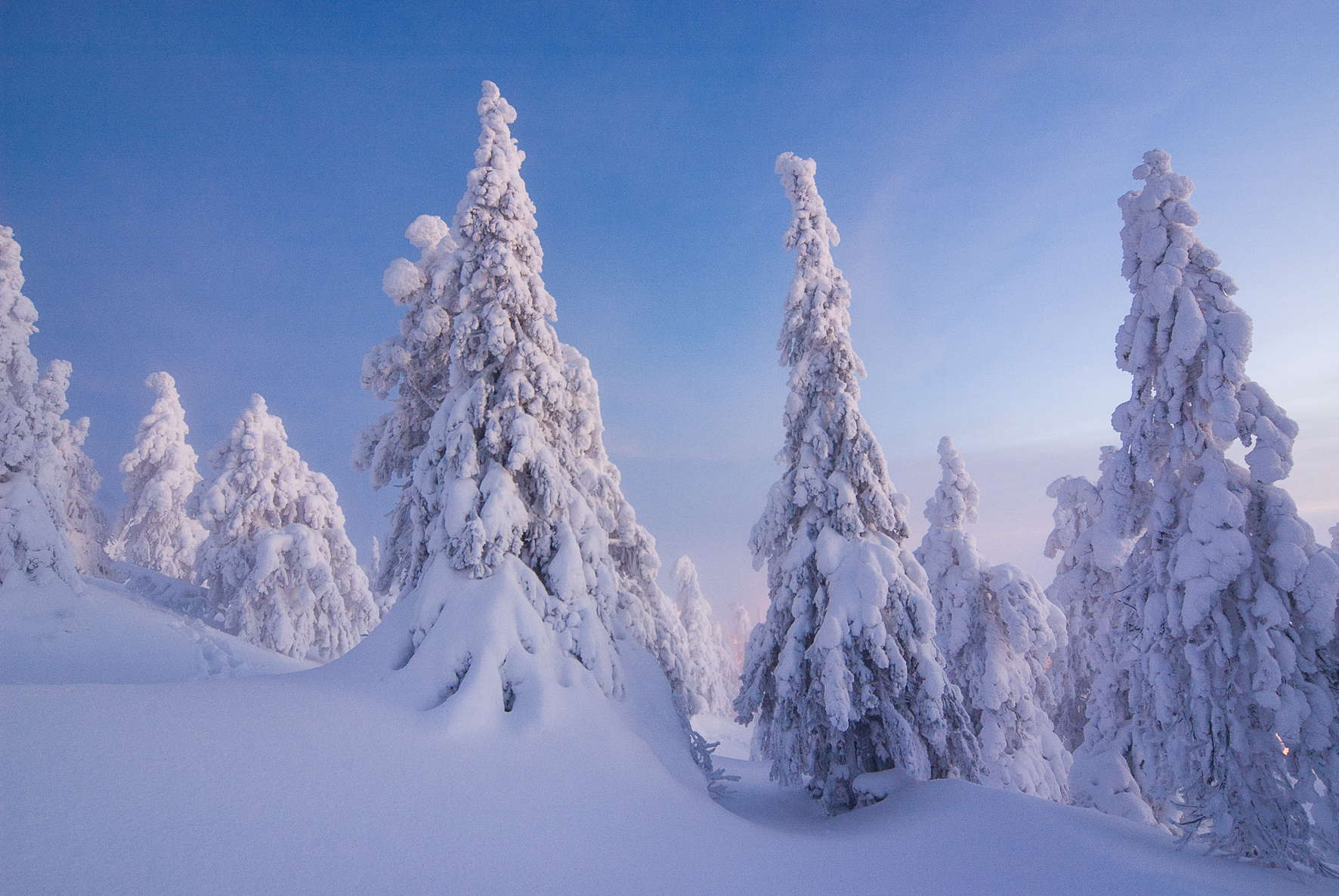 Lapland winter