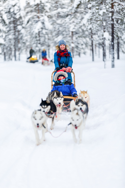 Husky Safari